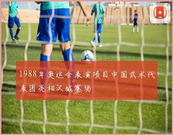 1988年奥运会表演项目中国武术代表团亮相汉城赛场